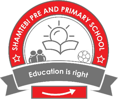 Shamtebi School Logo